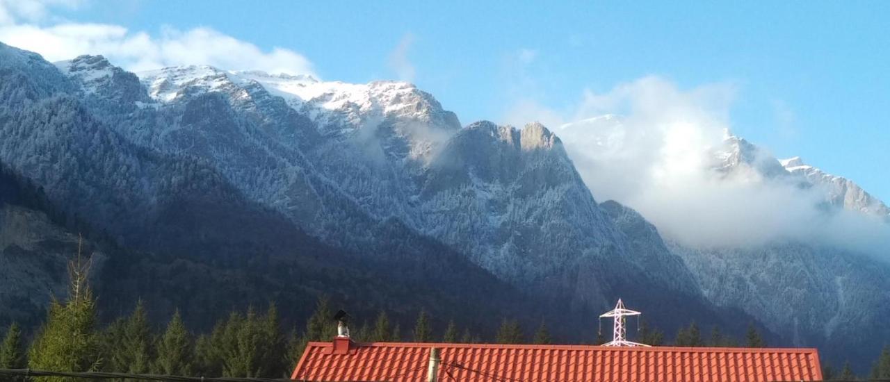 Poiana Dintre Brazi Chalet, Bucegi Panorama Sinaia Exterior foto